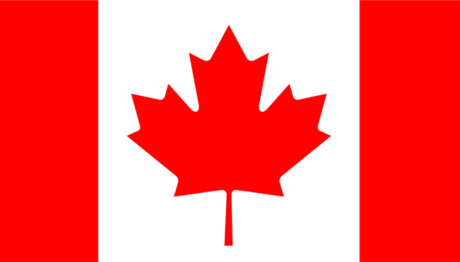 ISED 發佈關於比吸收率（SAR）評估的測試簡化指導